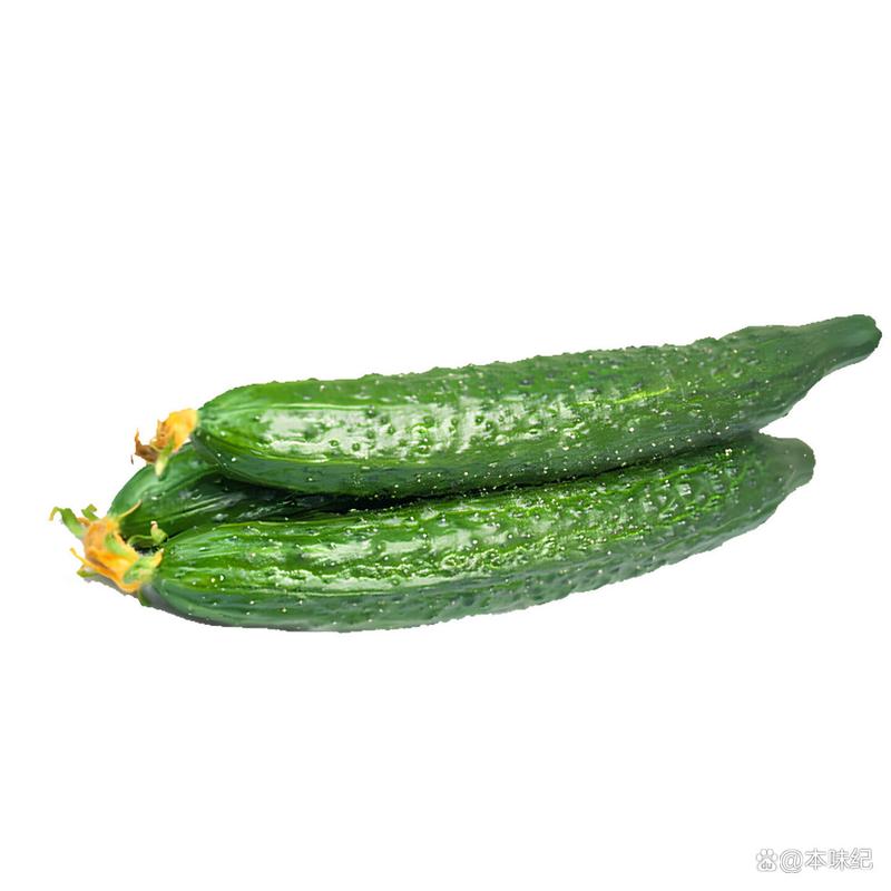 有机蔬菜牌子高性价比推荐,解决家庭健康饮食困扰