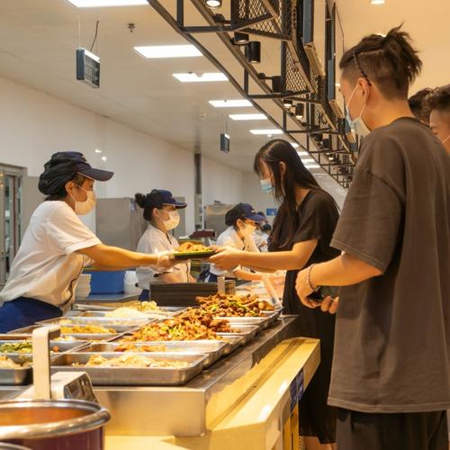 从田间到餐桌 学校食堂蔬菜直供如何保障品质与效率？