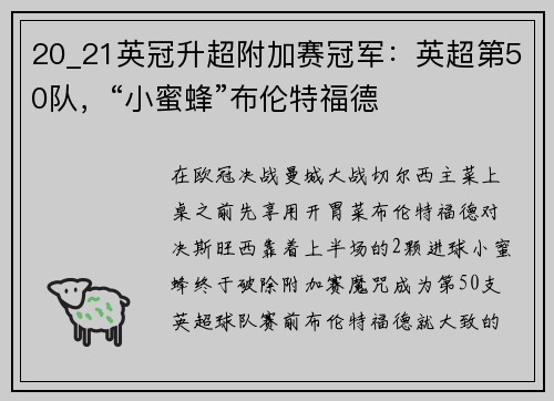 20_21英冠升超附加赛冠军：英超第50队，“小蜜蜂”布伦特福德